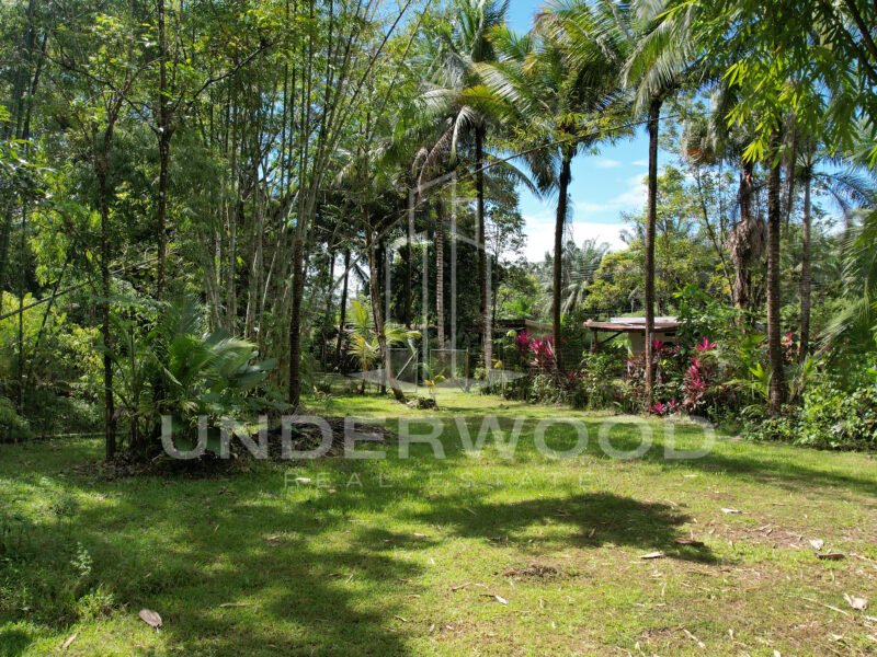 Propiedad con 3 casas rodeadas de naturaleza, Río Seco, Parrita