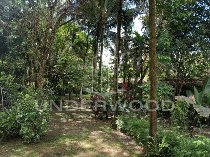 Propiedad con 3 casas rodeadas de naturaleza, Río Seco, Parrita