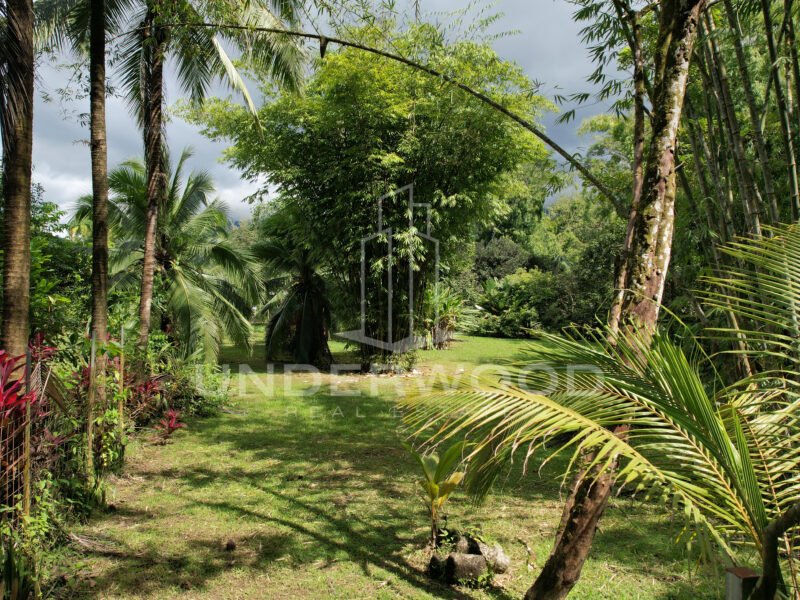 Propiedad con 3 casas rodeadas de naturaleza, Río Seco, Parrita