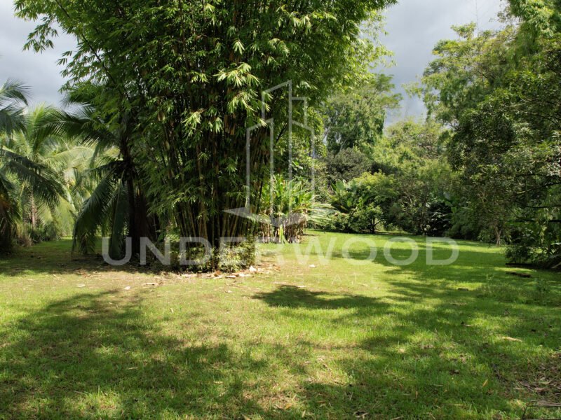 Propiedad con 3 casas rodeadas de naturaleza, Río Seco, Parrita