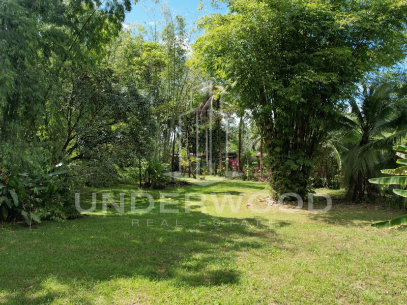 Propiedad con 3 casas rodeadas de naturaleza, Río Seco, Parrita