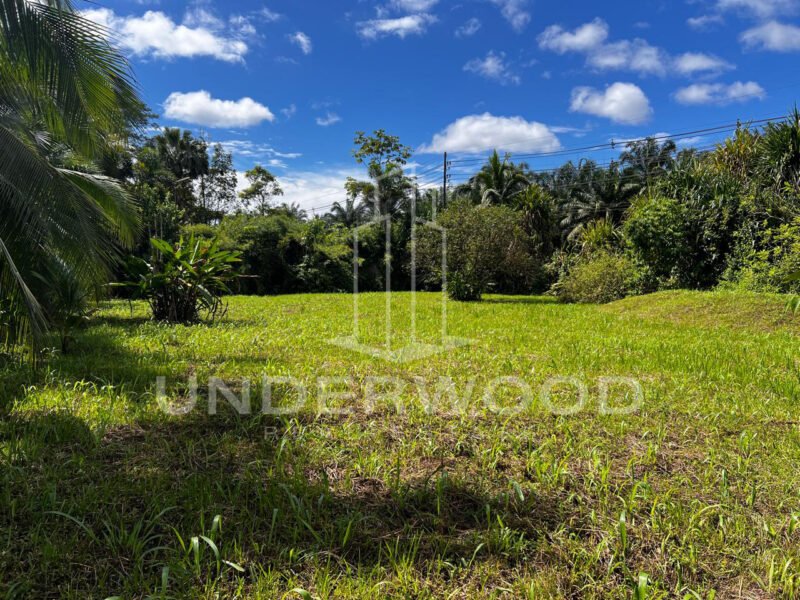 Propiedad con 3 casas rodeadas de naturaleza, Río Seco, Parrita