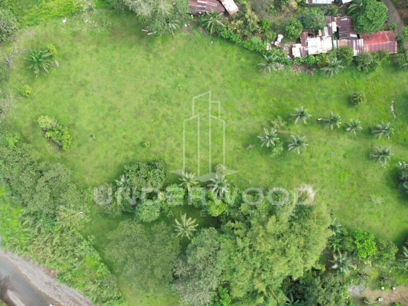 Finca Río Seco, Parrita