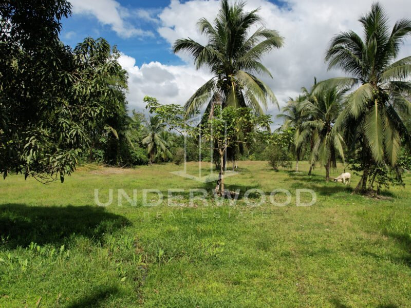 Finca Río Seco, Parrita