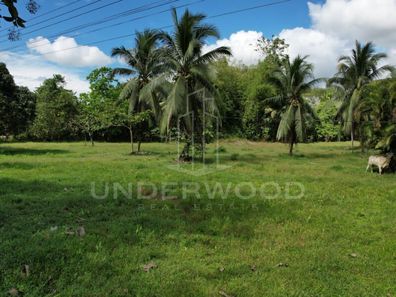 Finca Río Seco, Parrita