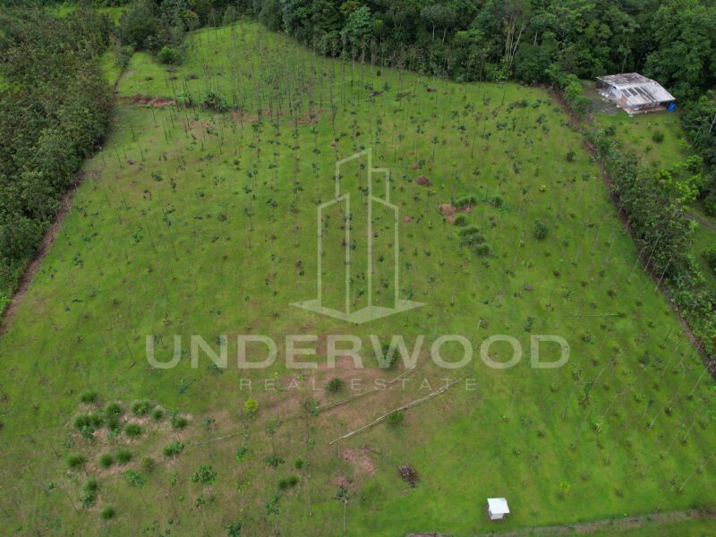 Finca San Antonio, Damitas, Parrita, Puntarenas