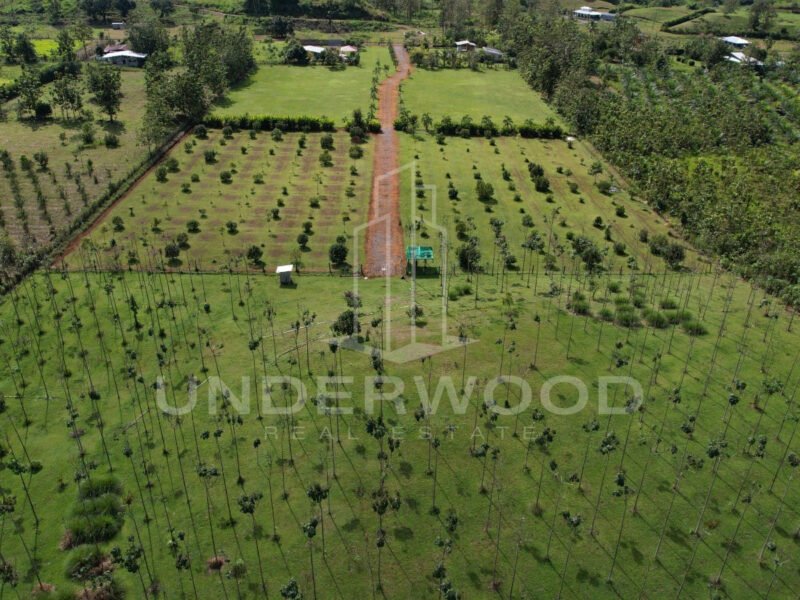 Finca San Antonio, Damitas, Parrita, Puntarenas