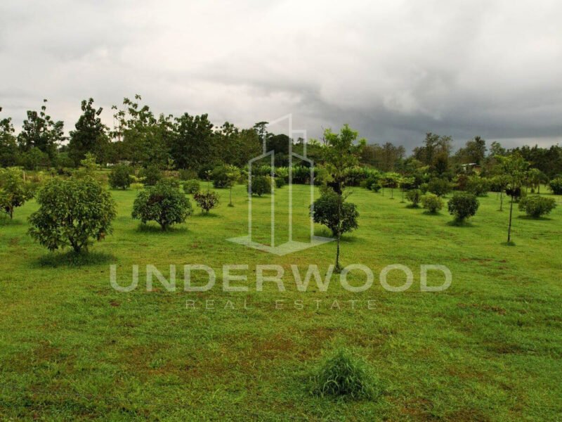 Finca San Antonio, Damitas, Parrita, Puntarenas