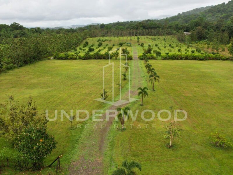 Lotes San Antonio, Damitas, Parrrita, Puntarenas