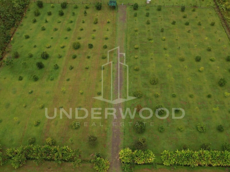 Lotes San Antonio, Damitas, Parrrita, Puntarenas