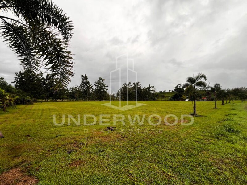 Finca San Antonio, Damitas, Parrita, Puntarenas