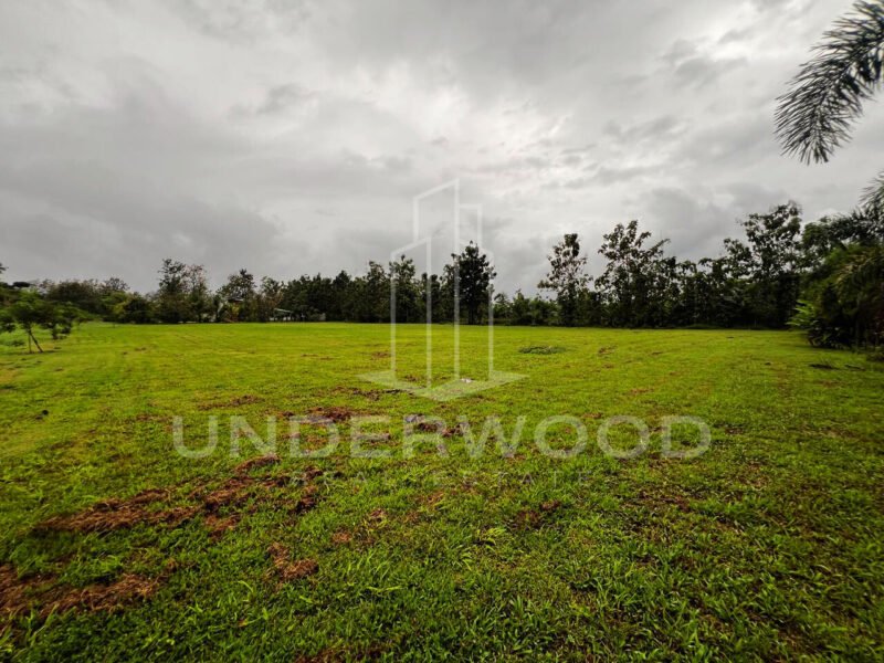 Finca San Antonio, Damitas, Parrita, Puntarenas