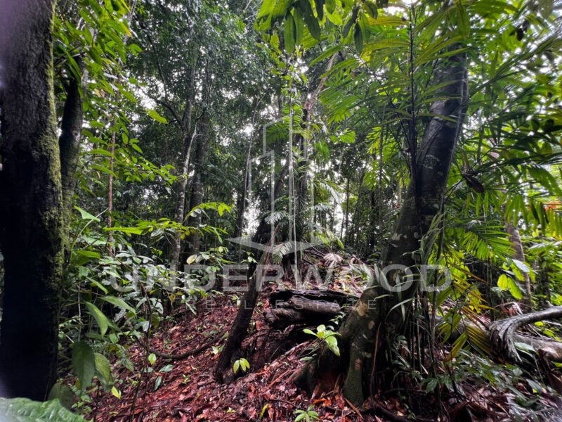 Espectacular propiedad en Uvita, Puntarenas.