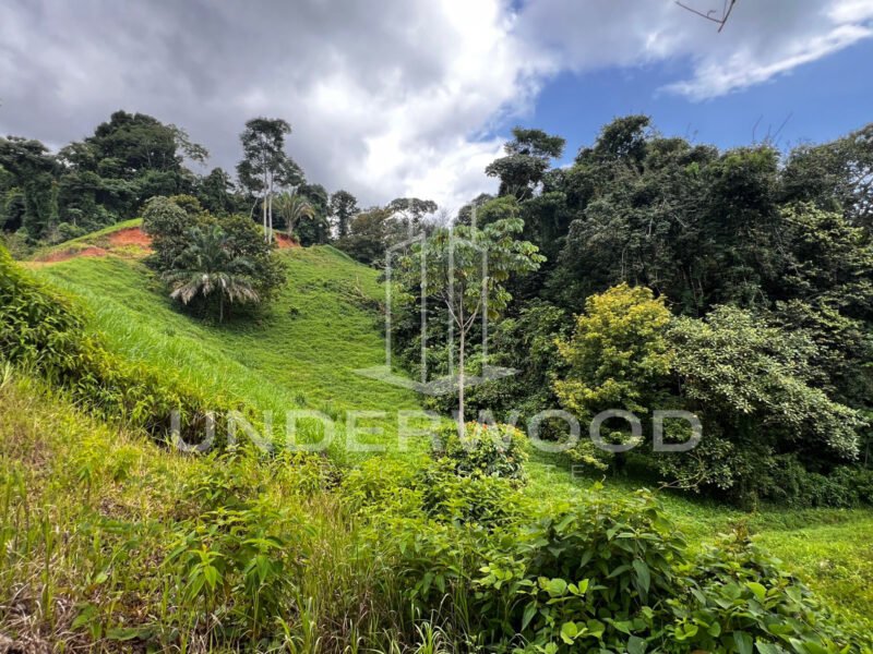 Espectacular propiedad en Uvita, Puntarenas.